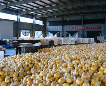順豐快遞給手動(dòng)液壓搬運(yùn)車消毒，保障生鮮瓜果食品安全